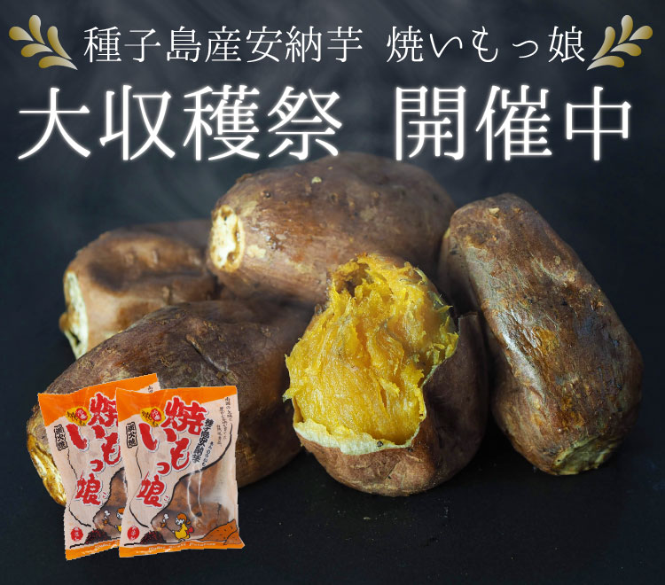 【期間限定特別価格】冷凍 焼いもっ娘 安納芋 500グラム 2袋入